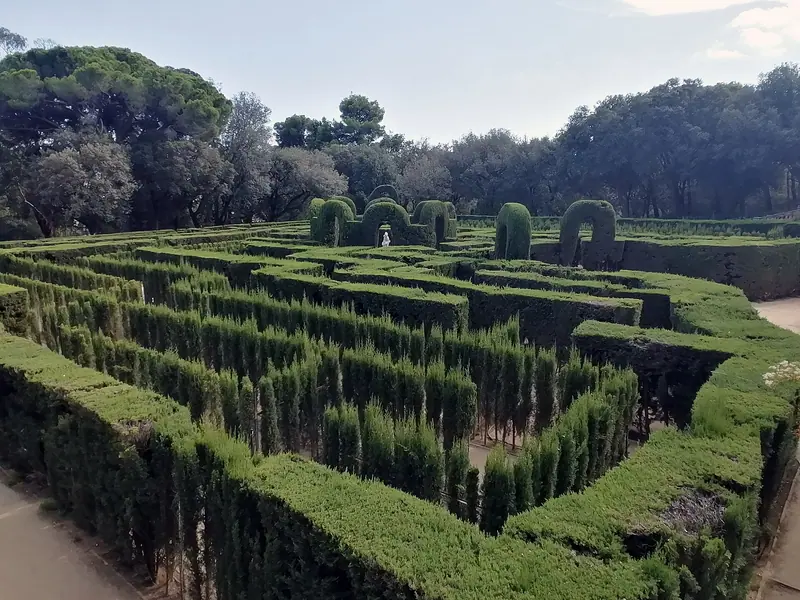 Laberinto de setos recortados visto desde arriba, con pinos y otros árboles al fondo